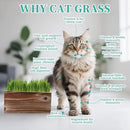 Cat Grass Kit for Indoor Cats - 5X Seed Packets with Handmade Wood Planter | Grow Organic Non-GMO Wheat Grass in 4-7 Days, Aids Digestion & Hairball Control, Ideal Gift for Cat Lovers by GreenHaven Gardens