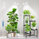 Large Plant Light for Indoor Plants, 2 Head Full Spectrum Grow Light with 68" Adjustable Stand for Growing Large Tall Plants, White Halo Floor LED Grow Lamp with 16 Hour Timer by GreenHaven Gardens