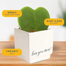 Costa Farms Hoya Heart Live Plant, Succulent-Like Houseplant in Cute Love You More Plant Pot, Potting Soil, 5-Inches Tall| Valentines Day Gift | Valentines Day Decoration by GreenHaven Gardens