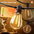 addlon 200FT(4-Pack*50FT) LED Outdoor String Lights with Edison Shatterproof Bulbs, Heavy-Duty and Weatherproof Strand, Commercial Grade Patio Lights, Decorative for Garden or Patio, Black by GreenHaven Gardens