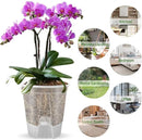 Cdd's Path 5-Pack 6 Inch Self Watering Pots Set with Holes for Indoor/Outdoor Plants,Planter Pot with Watering Hole/Reservior and Air Pipes,Clear by GreenHaven Gardens