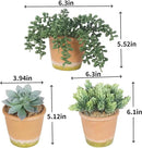 3 Pcs Artificial Succulent Plants Potted False Succulent Plants Potted Faux Potted Plant Family Office Bookshelf Decor by GreenHaven Gardens