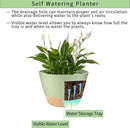 2 Pack Hanging Planters, 10 inch Indoor Outdoor Hanging Plant Pot Basket, Hanging Plastic Flower Pot with Drainage Hole with Removable Tray&Hooks for Hanging Plants,Green by CozyNest Decor