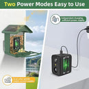 Smart Bird Feeder with Camera, AI Species Identify, Dual Solar Powered Birdfeeder Cam for Outside IP65 with 2.4GHz WiFi, 2K HD Auto Capture Birds Video for Bird Lover (Green) by CozyNest Decor