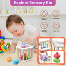 Baby Toys for 6 to 12 Months, Montessori Sensory Bins & Teething Toys, 6 in 1 Stacking Blocks, Rings, Eggs, Spinner, Crab Shape, 27 Pieces, Ages 6-36 Months by TinyTreasures Baby Boutique