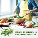 10 Kit Non-GMO Growing into Thyme, Lavender, Chamomile, Dill, Chives, Cilantro, Rosemary, Basil, Parsley, Sage Indoor/Outdoor for Kitchen Windowsill Gardening Gift by GreenHaven Gardens