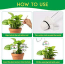 ZephyrBloom 13 oz Up 2 Weeks Large Plant Watering Globes & Bulbs, Self Watering Glass Globes to Water Plants While Away, Indoor Outdoor Automatic Slow-Release Watering Bulbs for Houseplants 2 Pack by GreenHaven Gardens