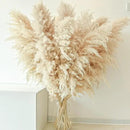 40" 11 PCS Dried Pampas Grass Decor Tall,Large Natural Beige pompas Grass,Tall Pampas Grass for Floor Vase,Wedding,Party,Farmhouse,Boho Home Decor,and Creating a Bohemian Ambiance by CozyNest Decor