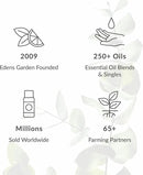 Edens Garden Concentration & Memory Essential Oil Blend- 100% Pure Premium Grade, Undiluted, Natural, Therapeutic, Aromatherapy, The Best for Diffusing, Kid Safe, Humidifiers, Skin 10 ml (.33 fl oz) by CozyNest Decor
