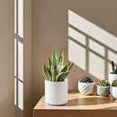 Docrin Ceramic Planters Indoor, 8 Inch Plant Pot with Drainage Holes for Home/Office - White Honeycomb by GreenHaven Gardens