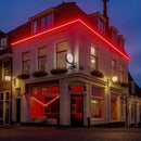 GZBtech Flexible LED Neon Rope Lights 33FT,AC 110-120V Waterproof Strip Light, 120 LEDs/M Cuttable Connectable Neon Lighting for Indoor Outdoor Home Decor/Commercial Building Use-Red 10M by CozyNest Decor