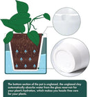 D'vine Dev 8 Inch Design Self Watering Planter for Indoor Plants, White Terracotta Pot with Teal Cylinder Glass Cup, 37-X-C-5 by GreenHaven Gardens