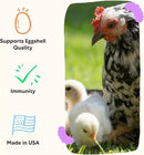 Grubbly Farms Vitamins + Electrolytes Water Supplement for Chickens (30 Day) by GreenHaven Gardens
