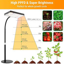 FECiDA Desk Grow Lights for Indoor Plants, Table Top Grow Light UV-IR Full Spectrum, 2000 Lumen LED Bonsai Houseplant Growing Lamp with On/Off Switch, 16"-24" Height Adjustable by GreenHaven Gardens