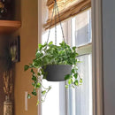 T4U 8 Inch Hanging Planters for Indoor Outdoor Plants, Self Watering Hanging Pot Pack of 2, Hanging Pots with Drainage Hole & Plug & Chain with 3 Hooks for Garden Home Decor, Grey by GreenHaven Gardens