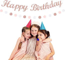Light-Pink Rose-Gold Birthday Garland Party-Decorations - 14pcs Happy Banner Women Paper Flowers Lanterns Tissue Pom Poms,Streamers Fans Honeycomb Girls Adult Women Kids Hanging Supplies Decor Hugfond by CozyNest Decor