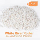 5 lbs White Aquarium Gravel, 1/5 Inch White Rocks for Plants, Small Pebbles for Vases, Succulents, Bamboo, Natural Decorative Pebbles for Plants Drainage, Cactus, Crafts by CozyNest Decor