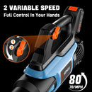 SENIX 20V Max Leaf Blower, Cordless, Brushless, Handheld, Up to 350 CFM and 80 MPH, 2 Speed Mode, Cruise Control, Lightweight, 4.0 Ah Battery and Charger Included (BLAX2-M) by GreenHaven Gardens