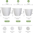 10/9/8 inch Self Watering Pots, Set of 3 Plastic Planters with Mesh Drainage Holes and Deep Reservoir for Indoor Outdoor Garden Plants and Flowers, White Speckles by GreenHaven Gardens