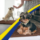 Muddy Mat® 4-Piece Brown Medium 30"X19" AS-SEEN-ON-TV Highly Absorbent Microfiber Door Mat, Bath Mat and Pet Rug, Non Slip Thick Washable Soft Chenille for Kitchen Bathroom Bedroom Indoor and Outdoor by CozyNest Decor