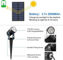 Solar Spot Lights Outdoor, Solar Landscape Spotlights IP65 Waterproof 9.8ft Cable, Auto On/Off Outdoor Wall Lights for Garden Yard Driveway Porch Walkway Pool (1-in-1 6000K Cold White 4 Pack) by GreenHaven Gardens