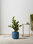 LE TAUCI Fluted Ceramic Planters Set of 3 – 8.3/7 / 5.7 in Ocean Blue Reactive Cylinder Indoor Plant Pots with Drainage Plug & Mesh, Glossy Stoneware Flower Pots for Succulents Herbs by GreenHaven Gardens