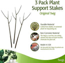 Plant Support Stakes, Stem Holder Structures for Indoor & Outdoor Use, Garden Accessories for Climbing & Potted Plants, Trellis Alternative - Moonstone, 3 Pack, 22" L, Original by GreenHaven Gardens