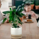 6 Inch Plant Pots, Ceramic Planter Pot with Drainage Hole & Saucer, Indoor/Outdoor Cylinder Round Planter Pot, White & Beige Glaze by CozyNest Decor