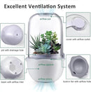 Smart Venus Fly Trap Terrarium Pot with Timer&Fan,Succulent Planter with Grow Light,Indoor Plant Pots Terrarium with Drainage Hole for Carnivorous Plants,Sundew Moss,Cactus(No Plant) by GreenHaven Gardens
