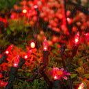 Brizled Red Christmas Lights, 33ft 100 LED Connectable Christmas String Light, 120V UL Certified LED Light String for Indoor & Outdoor, Xmas Tree, Garden, Party and Holiday Decoration by TinyTreasures Baby Boutique