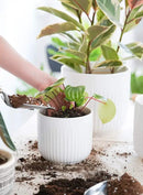 LE TAUCI Fluted Ceramic Planters Set of 3 – 8.3/7 / 5.7 in White Cylinder Indoor Plant Pots with Drainage Plug & Mesh, Matte Glazed Stoneware Flower Pots for Succulent Herb Cactus by CozyNest Decor