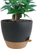 12 inch Large Self Watering Pots, Plastic Planters with 60oZ Removable Deep Reservoir and Multi Mesh Drainage Holes for Indoor Outdoor Garden Plants and Flowers, Black with Brown by GreenHaven Gardens