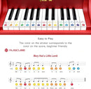 MUSICUBE Kids Piano Keyboard 25 Keys Digital Piano for 3-7 Years Old Beginner Girls Boys First Mini Piano Toys Educational Musical Instrument Gift Choice (Range: C4-C6) by TinyTreasures Baby Boutique