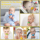 WAJIAYON Baby Fruit Feeder/Fresh Food Feeder Pacifier (3 Pack)- Infant Teething Feeders | Silicone Teether for Babies | Baby Solid Food Pacifier Essentials for Babies Toddlers Infants Kids by TinyTreasures Baby Boutique