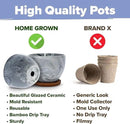 HOME GROWN Bonsai Tree Kit - Premium Ceramic Starter Kit - 4 Variety of Bonsai - Unique Gift for Men and Women Gardeners by GreenHaven Gardens