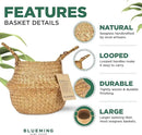 Basket Planter – Seagrass Plant Pot for Artificial Olive Tree, Decorative 6-7 Inch Indoor Wicker Pot with Handles (Original, Small) by GreenHaven Gardens