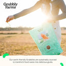 Grubblies - Black Soldier Fly Larvae for Chickens - Chicken Treats Grown in The US and Canada - for Strong Eggshells and Healthy Feathers - Grubblies Hometown Harvest 1LB by GreenHaven Gardens
