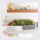 Oblong Faux Succulent Arrangement, Premium Artificial Indoor Plant Enhances Interior Design, Display on any Surface in Your Home Adding an Inviting Touch of Nature, Grey Planter Pot Included by CozyNest Decor