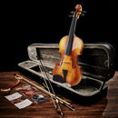 Eastar 4/4 Violin Set Full Size Fiddle Solidwood for Adults with Hard Case, Shoulder Rest, Rosin, Two Bows, Clip-on Tuner and Extra Strings, EVA-330 by TinyTreasures Baby Boutique
