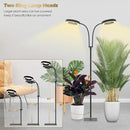 GLOWRIUM Grow Light with Stand,2-Head LED Plant Light for Indoor Plants, Full Spectrum Grow Lamp, 3/9/12H Timer, 6 Dimmable Levels, 3 Lighting Mode, Adjustable Height by GreenHaven Gardens