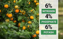 6-4-6 Avocado and Citrus Tree Professional Fertilizer Plant Food for Outdoor/Indoor Gardening; Quick-Release Nitrogen Fertilizer; Orange, Lime, Avocado and Lemon Tree Fertilizer (2 QUARTS) by GreenHaven Gardens