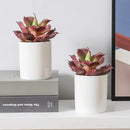 Duovlo Artificial Succulent Plant 7.08 Inch Faux Succulents Agave potatorum Flower Arrangement Craft Wall DIY Materials Pack of 2 (Dark Purple) by GreenHaven Gardens