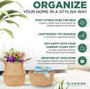 Basket Planter – Seagrass Plant Pot for Artificial Olive Tree, Decorative 6-7 Inch Indoor Wicker Pot with Handles (Original, Small) by GreenHaven Gardens