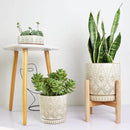 8 Inch Plant Pot with Stand, Ceramic Planter with Drainage Holes, Saucers and Mesh Pads for Indoor-Outdoor Plants by CozyNest Decor