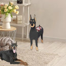 Doberman Dog Planter Plant Pots,Cute Garden Dog Flower Planter,Dog Planters Birthday Gifts for Women,Office,Indoor/Outdoor Decor（9.45 * 5.28 * 13.58in） by GreenHaven Gardens