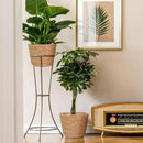 Woven Straw Flower Pot Seagrass Planters Basket Garden Plant Pot Containers Wicker Rattan Vase Sundries Organizer Storage Bins for Indoor Outdoor Plants by CozyNest Decor