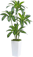 Artificial Dracaena Tree Artificial Silk Tree Faux Tree Fake Tropical Yucca Floor Plant with White Tall Planter (1, White Tall Planter, 5FT) by CozyNest Decor