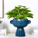 Head Planter Pot - 7 Inch Cute Face Planter for Indoor Outdoor Plants Ceramic Succulent Pot Round Flower Pot Present for Mother Christmas with Drainage Hole Blue by GreenHaven Gardens