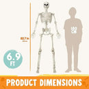 JOYIN 6.9 FT Halloween Skeleton Posable Plastic Full Body Realistic Human Bones with Movable Joints for Indoor Outdoor Halloween Props Spooky Scene Party Decorations（White, No Screwdriver） by GreenHaven Gardens
