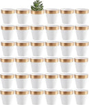 Yishang 36 pcs Small Mini White&Gold Clay Pots, 2.5'' Terracotta Pot Clay Ceramic Pottery Planter,Cactus Flower Terra Cotta Pots,Succulents Nursery Pots,with Drainage Hole, for Crafts,Wedding Favor by GreenHaven Gardens